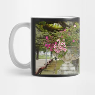 Parque Dr. Manuel Braga, Coimbra, Portugal Mug